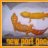NewPort Reptiles