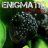 Enigmatic_Reptiles