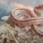 Psychotic Serpents
