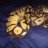 cecilbturtle