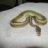 Snake4me2