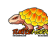 TURTLEMORPHS