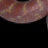 ceh421