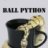 Ball Python Cafe