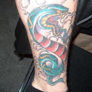 CONSTRICTORS305
