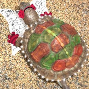 Caroling Turtle
