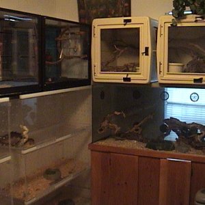 New acrylic cages
