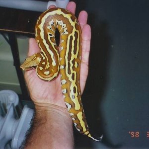 04 male