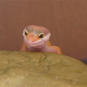 Another little one