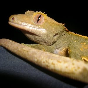 DSCN2820