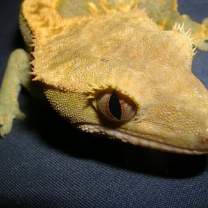 DSCN2821
