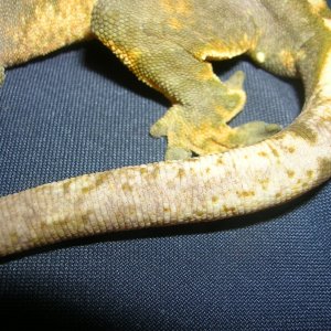 DSCN2827