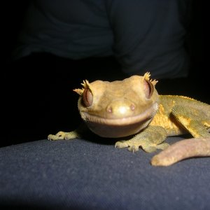 DSCN2823