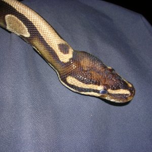 DSCN2860