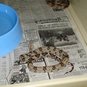another holdback