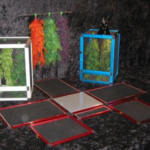 Instacage and Instavine