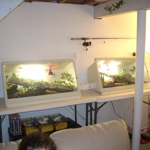 My Ackies Enclosers connected NEODESHA tanks