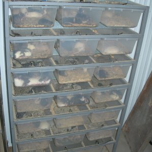 ARS 3021 Rack