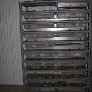 ARS 2020 Rack