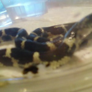 Photo371_CCNC