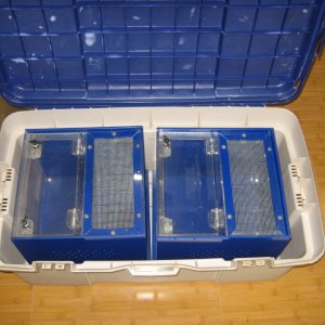 display boxes
