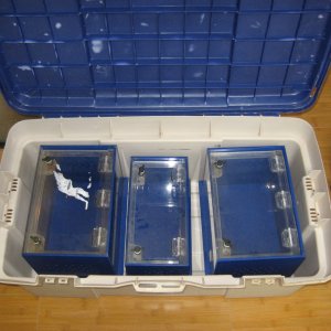 display boxes