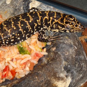 Malenia
