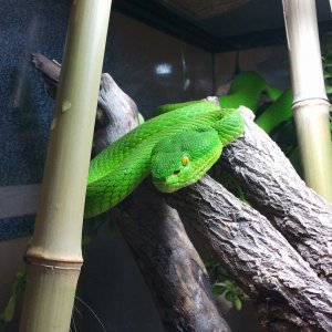 2011-07-22_21_33_24