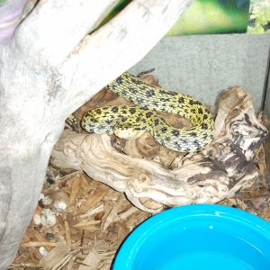 2011-07-22_21_38_34