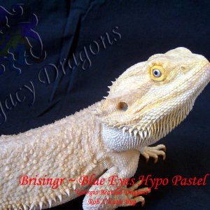 Brisingr