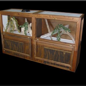 reptile_-_cage_-_www_cagecompany_com