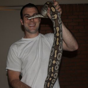 mojave ovulation swell