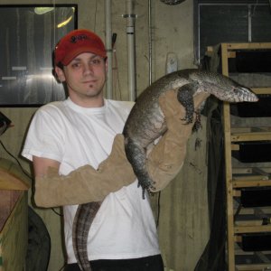 tortoise_4_sale_008