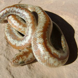 Dulzura
