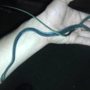 IMAG0509