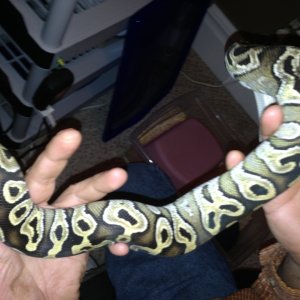 ID please!!!