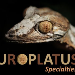 www.uroplatusspecialties.com