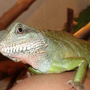 DSC08854