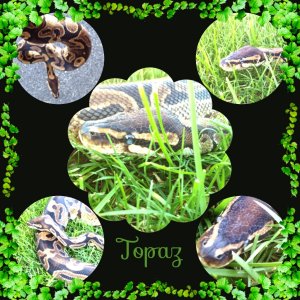 Pretty Topaz!!!