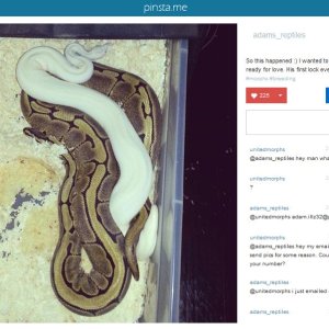 adams_reptiles_pretrade_exchange1