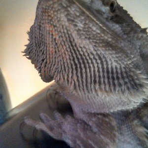 My sweet boy