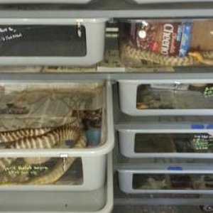 8514 ars rack