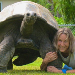 ALDABRA BREEDER
