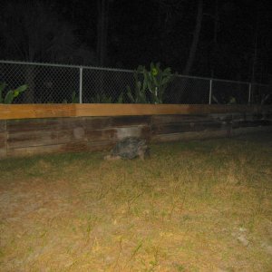 ALDABRA BREEDER