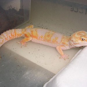 DSCN3607