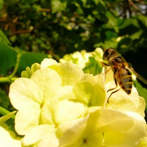 DSCN3957