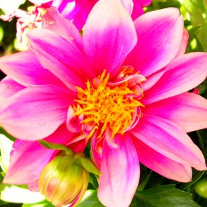 DSCN3952