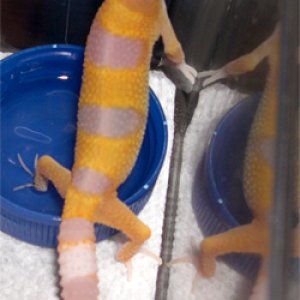 5 days old