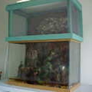 tank topper on 20 gallon