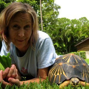 ALDABRA BREEDER